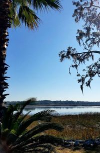 Scenic view of sea against clear sky