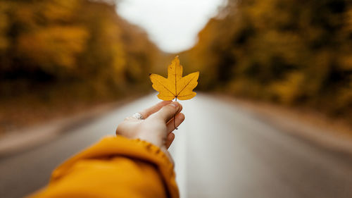Cropped hand of woman holding yellow flower
