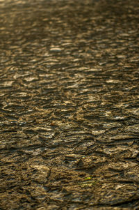 Full frame shot of rippled water