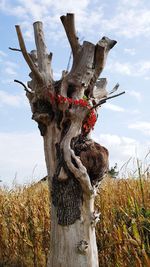 Close-up of tree trunk on field against sky