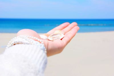 Close-up of hand holding shells at calm beach