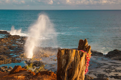 Famous spouting horn on the hawaiian island of kauai, usa on a sunny afternoon against sky 