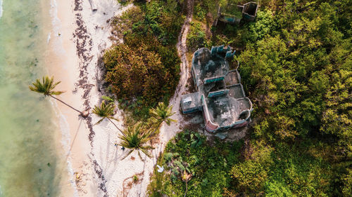 High angle view of road amidst trees