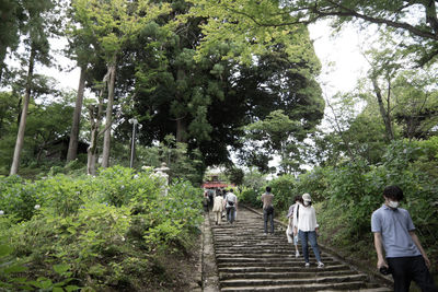 Rear view of people walking on sidewalk in forest