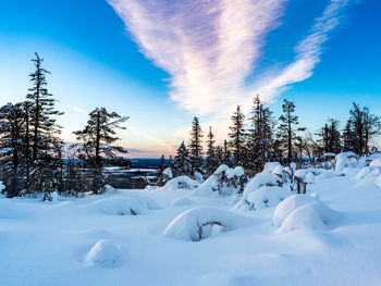 Snow covered land and trees against sky