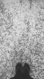 Low section of person standing in the dark