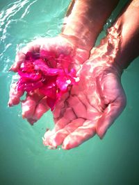 Close-up of hands holding pink flower in water