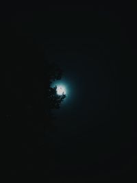 Silhouette trees against sky at night