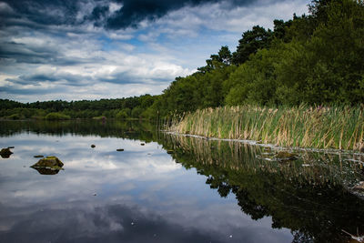 Reflection of trees in lake against sky