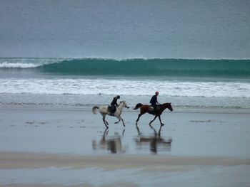 High angle view of people on beach