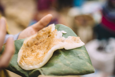 Close-up of hand holding leaf