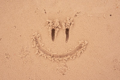 High angle view of footprints on sand