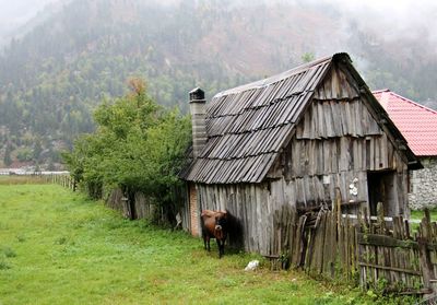 rural area