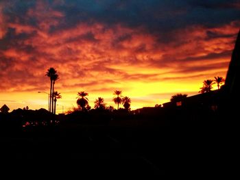 Silhouette trees against sky during sunset