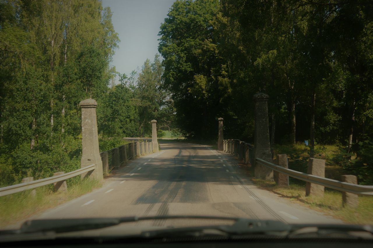 ROAD AMIDST TREES SEEN THROUGH CAR