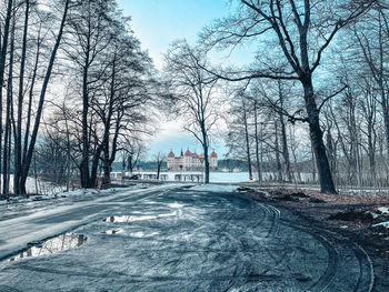 Road amidst bare trees during winter