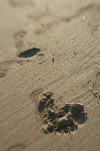 View of sandy beach