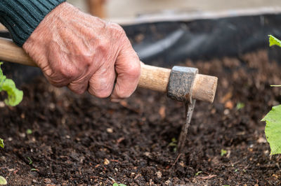 Cropped hand of man working on field