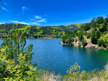 Scenic view of lake and trees against blue sky