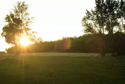 Scenic view of field against clear sky during sunset