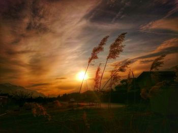 Sunset over landscape