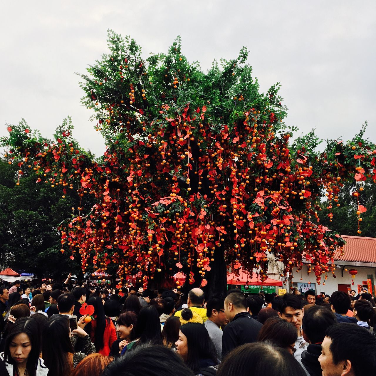 large group of people, crowd, tree, sky, celebration, real people, lifestyles, red, outdoors, men, women, day, adults only, people, adult