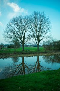 Bare tree on field by lake against sky