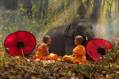 Monks sitting with elephant by red umbrellas in forest