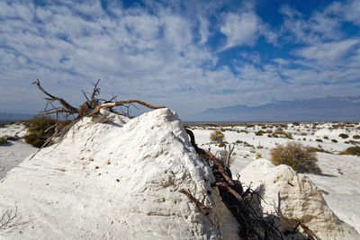 Driftwood on land against sky