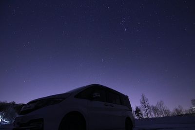 Low angle view of trees at night