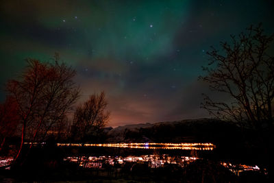 Illuminated trees on landscape against sky at night