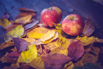 High angle view of apples on leaves during autumn