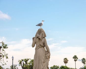 Low angle view of seagull perching on statue against blue sky