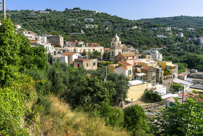 High angle view of townscape and trees in town