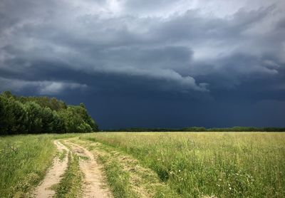 Scenic view of field against sky