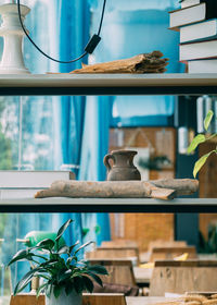 Cat relaxing on window