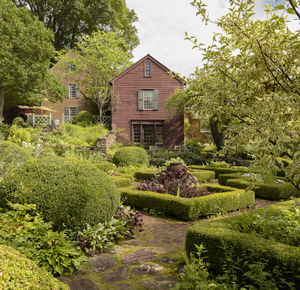 Trees and plants in garden