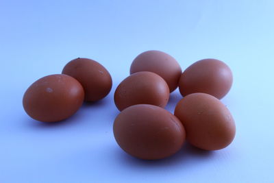 Close-up of eggs against blue background