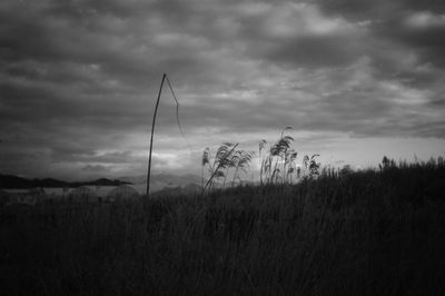 Scenic view of field against cloudy sky