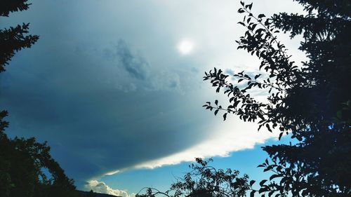 Low angle view of silhouette tree against sky