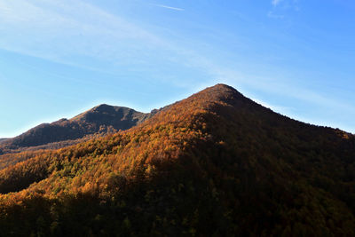 Autumn hill foliage in appennino national park, tuscany, italy