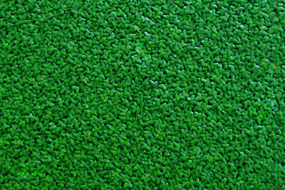 Full frame shot of green leaf