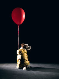 Rear view of woman with balloons