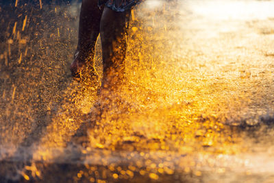 Low section of person walking in water