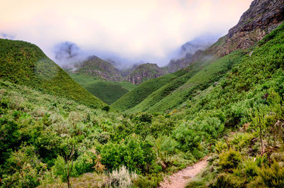 Scenic view of land against sky