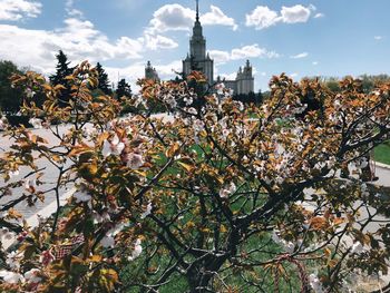 Low angle view of flowering tree by building against sky