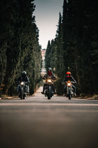 Group of bikers in black leather jackets and helmets riding powerful motorcycles on asphalt road leading between green forest in countryside