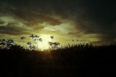 Scenic view of field against sky at sunset