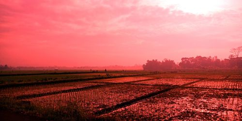 Scenic view of field against sky during sunset