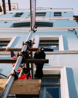 Low angle view of building